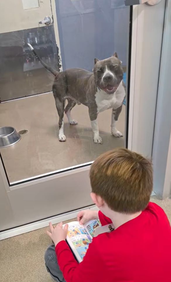 Gomez is now living the life he once dre...