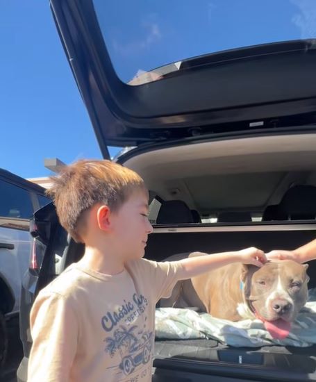 Extra image from article