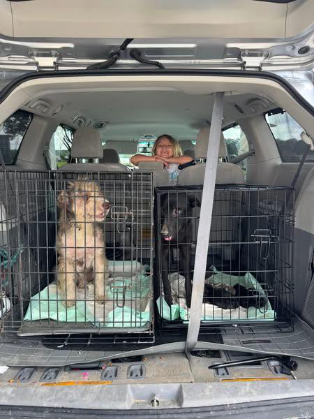 Extra image from article