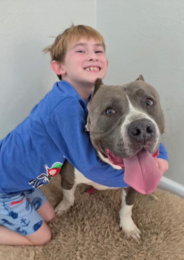 Extra image from article