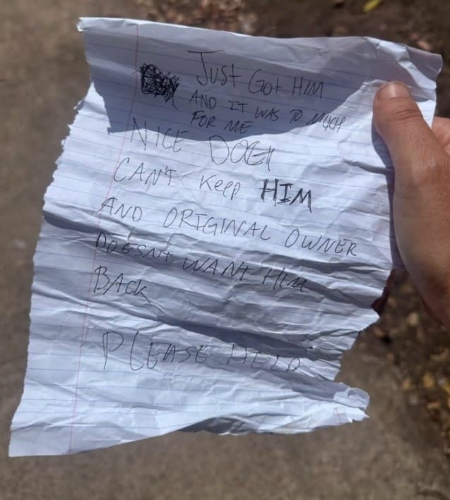 Once in the comfort of Erica's home, Jun...