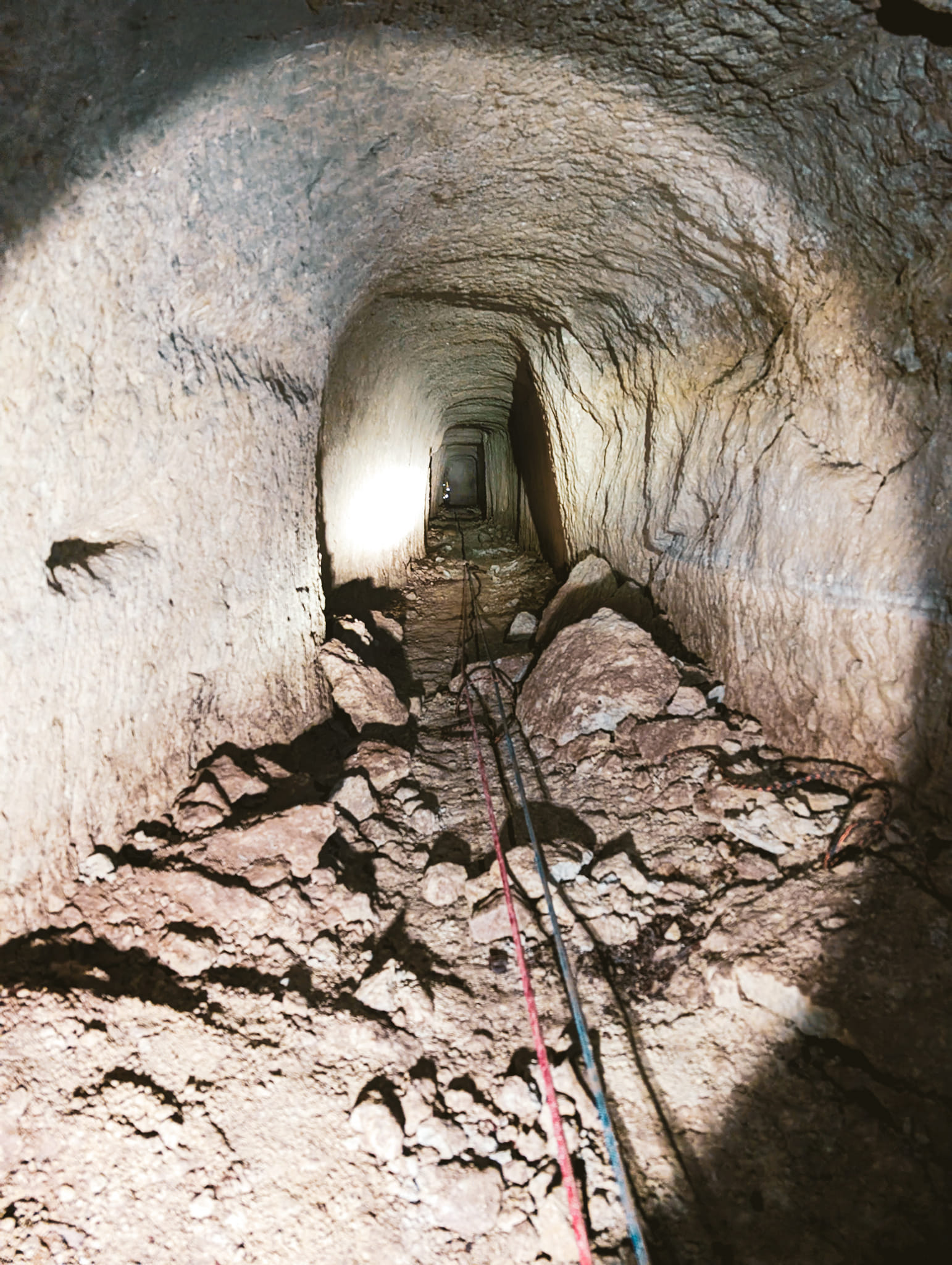 Extra image from article