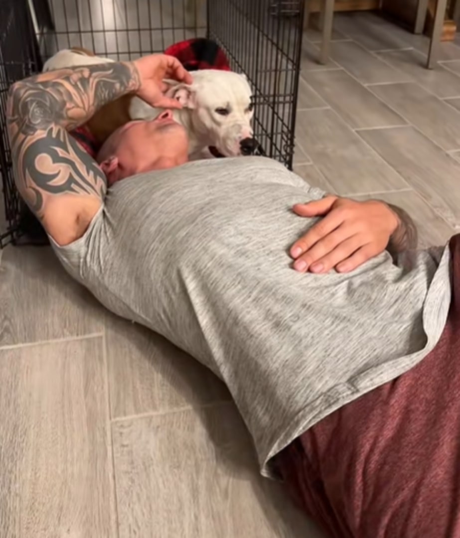 Extra image from article