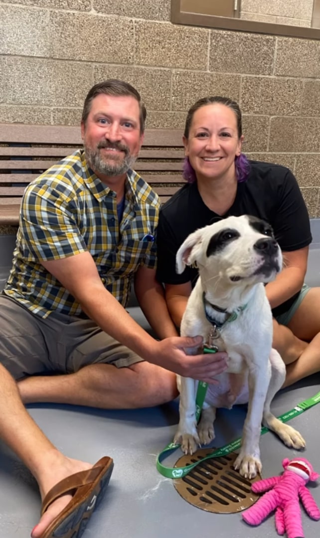 Extra image from article