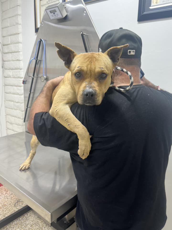 Extra image from article