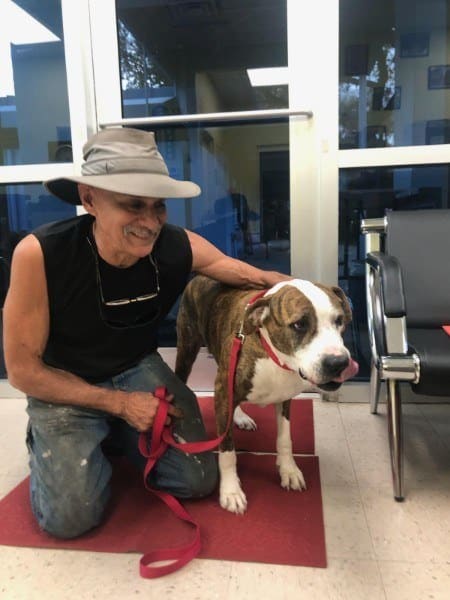 Extra image from article