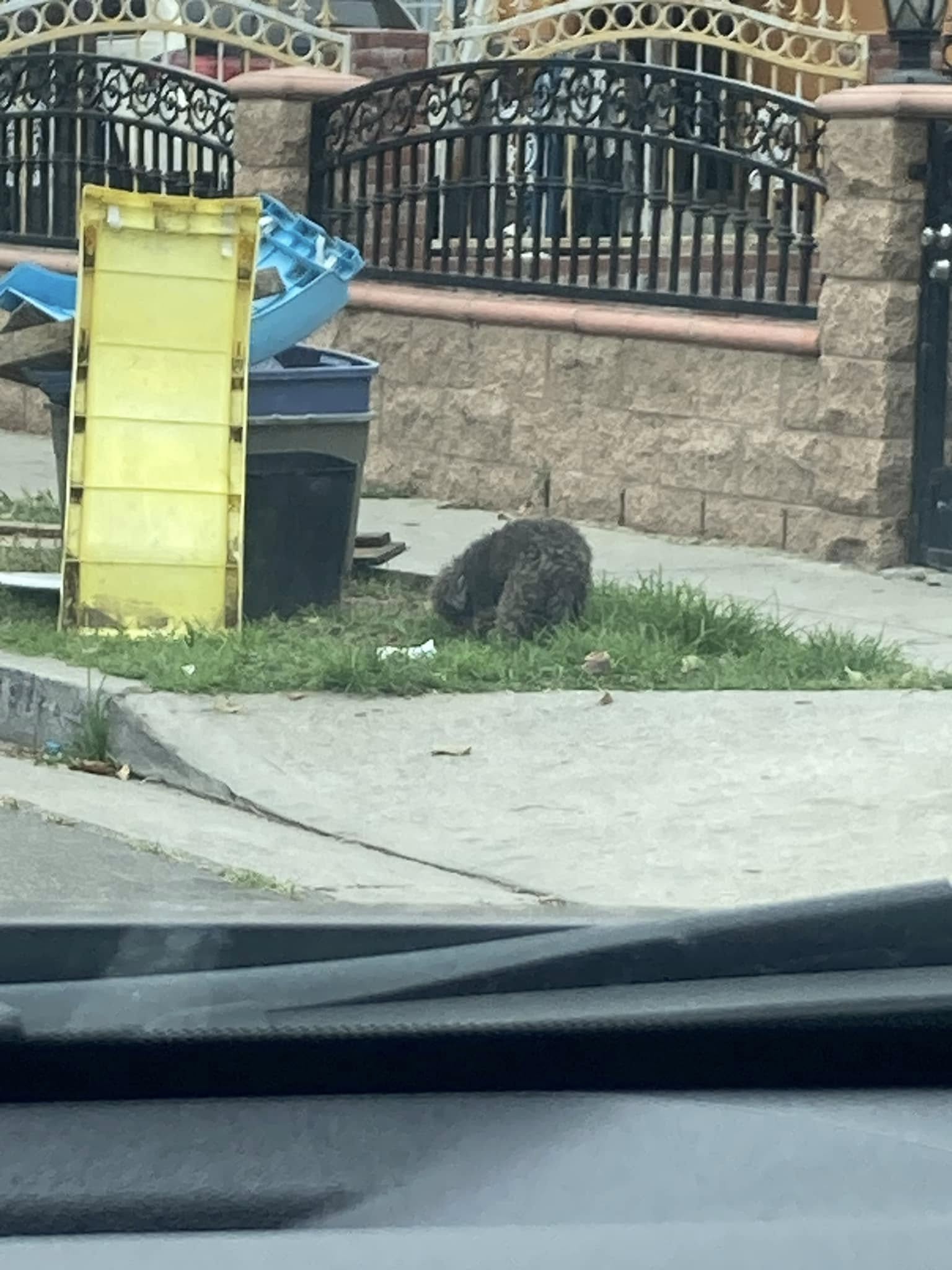 Before long, the rescuers managed to saf...