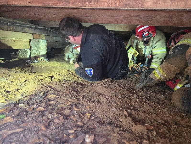 Extra image from article