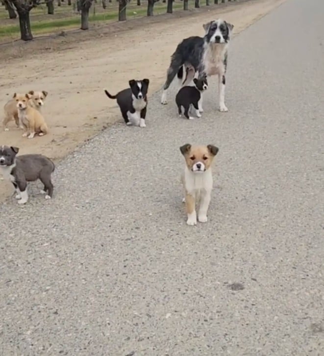 A nearby ranch worker revealed he had be...