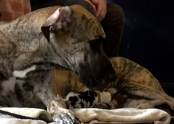 The magnitude of Namine’s accomplishment...