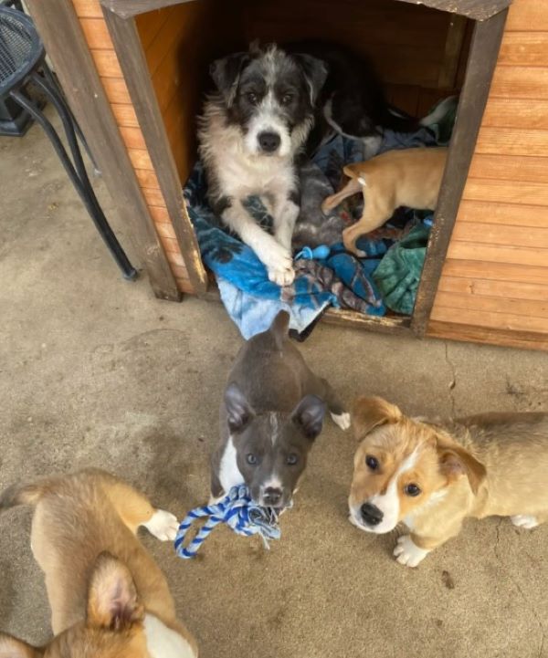 Extra image from article