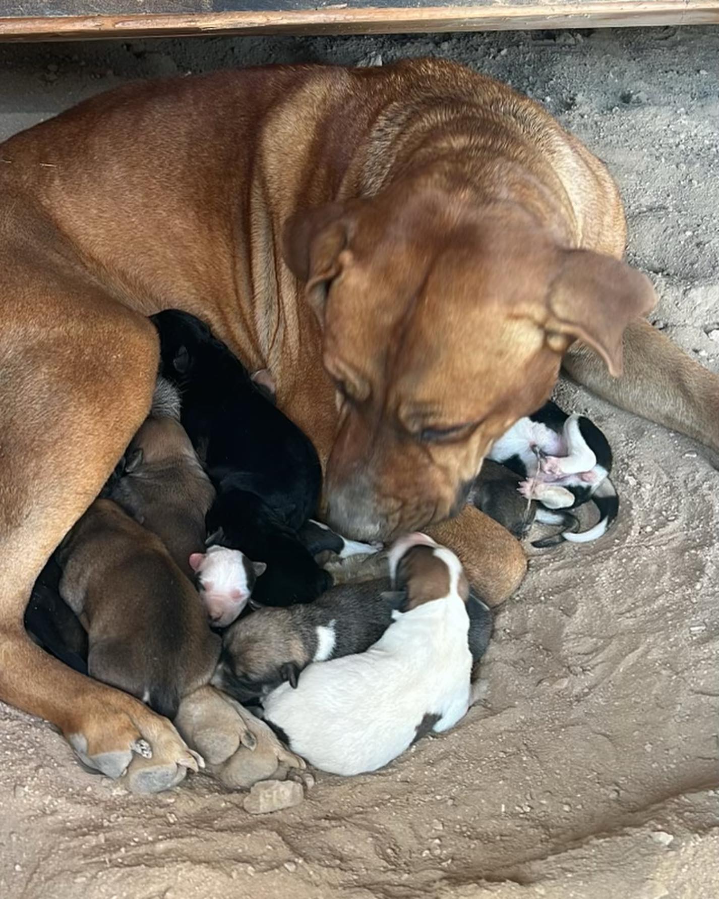 Extra image from article