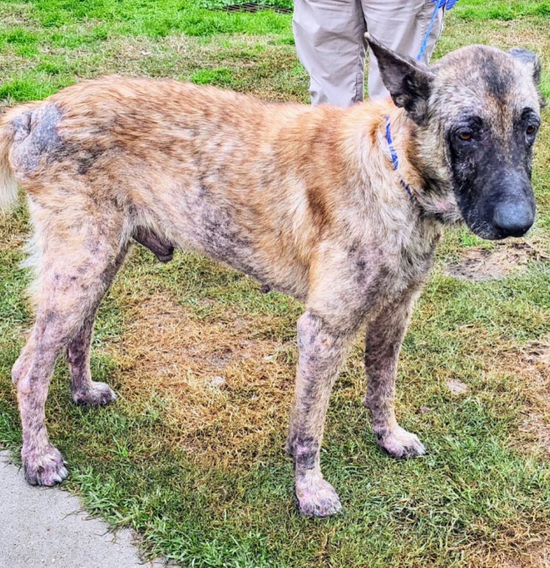 Extra image from article