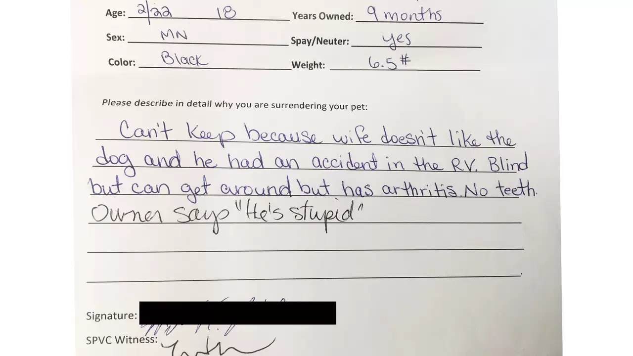 Extra image from article