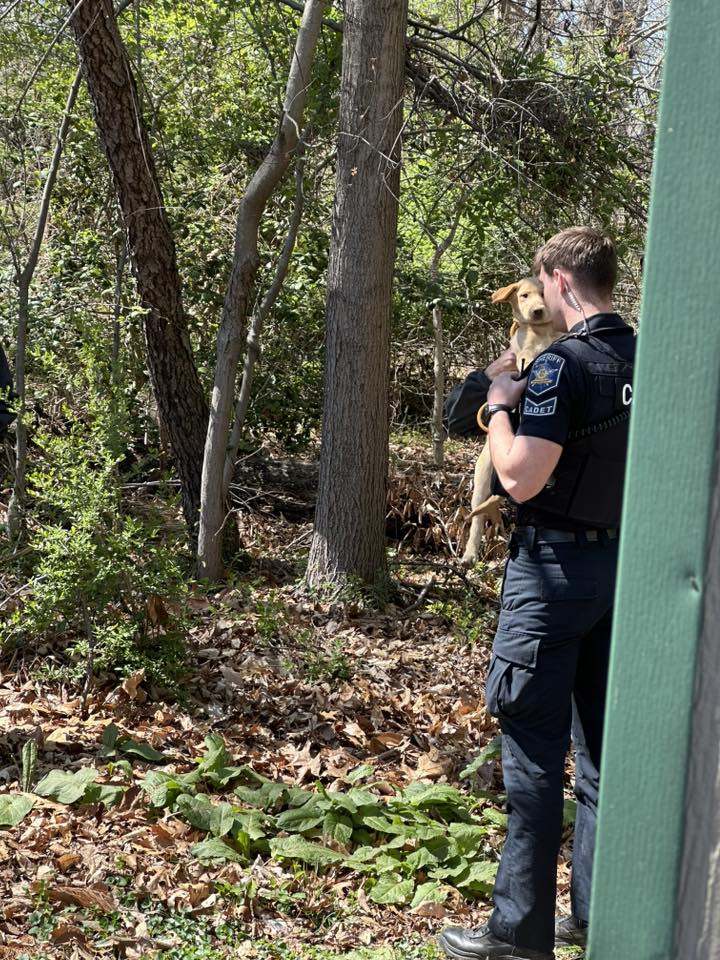 The puppies' happy ending was made possi...