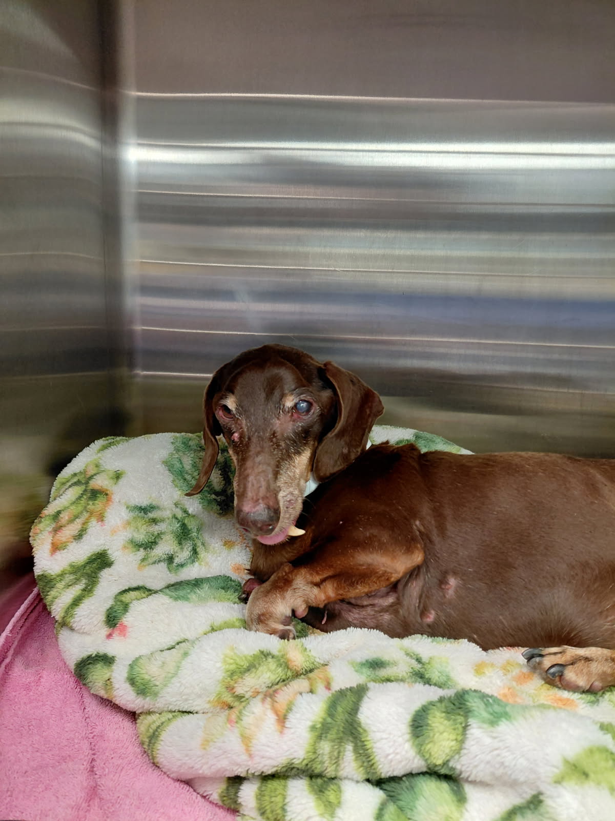 Extra image from article