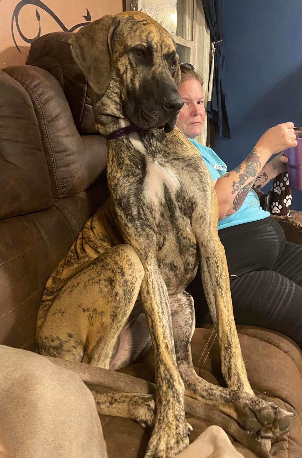 Extra image from article