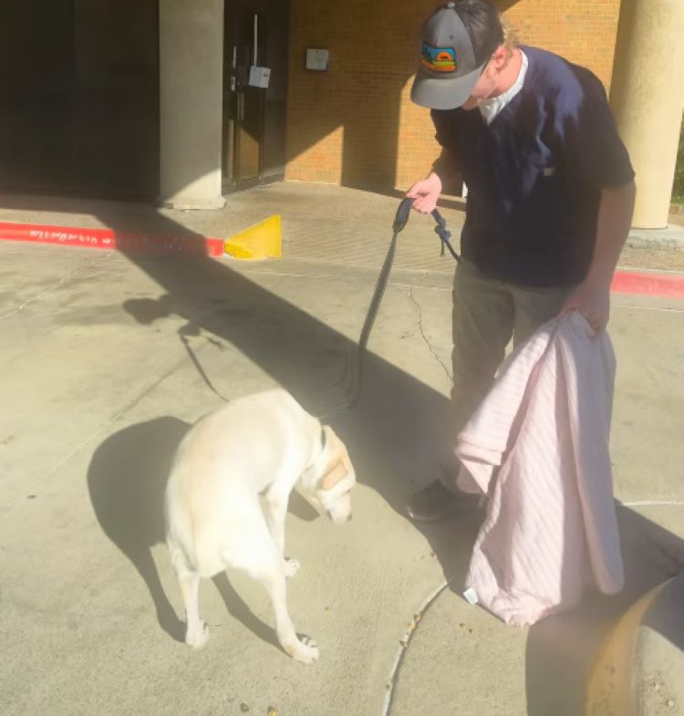 Extra image from article