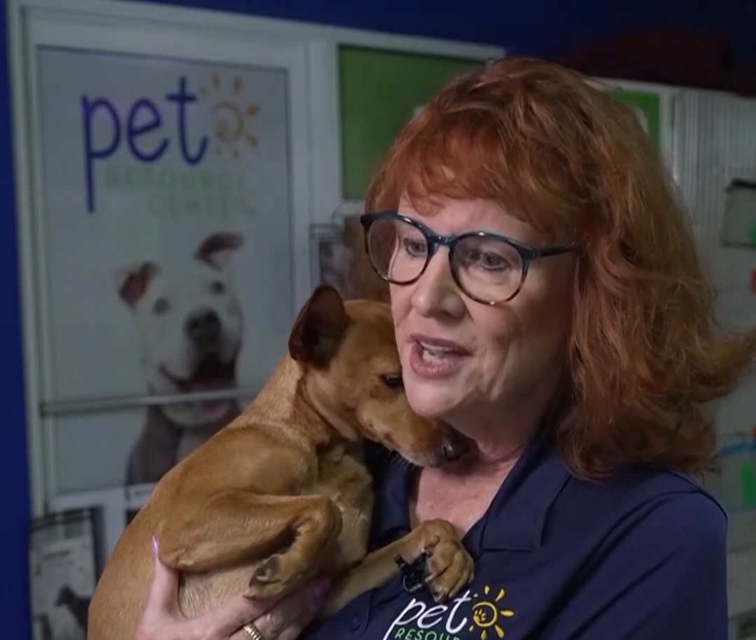 Extra image from article