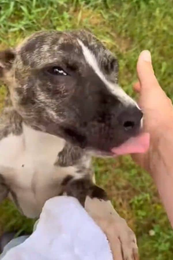 Extra image from article