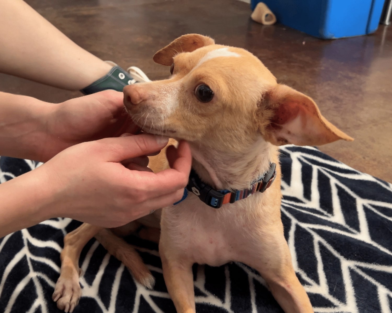 Extra image from article