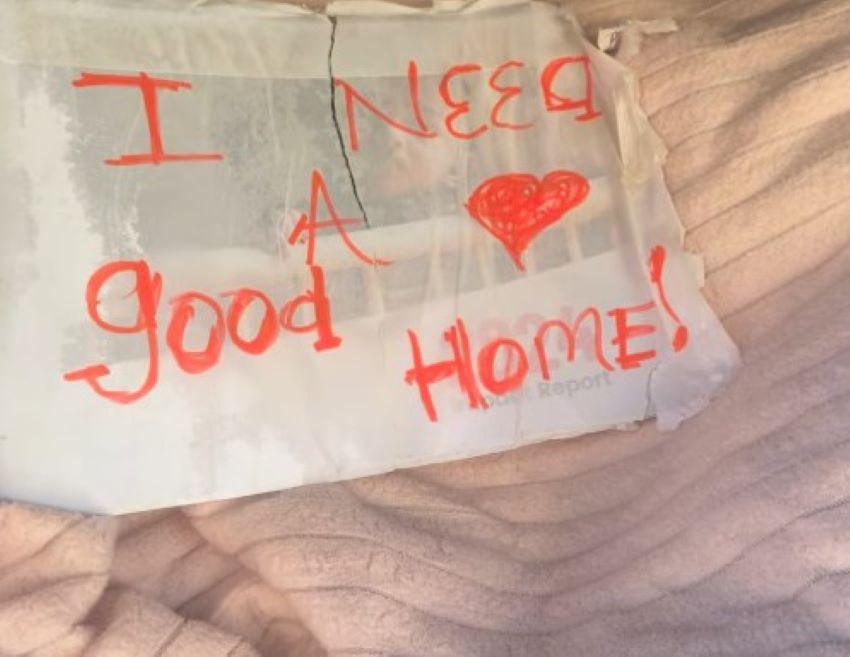 Extra image from article