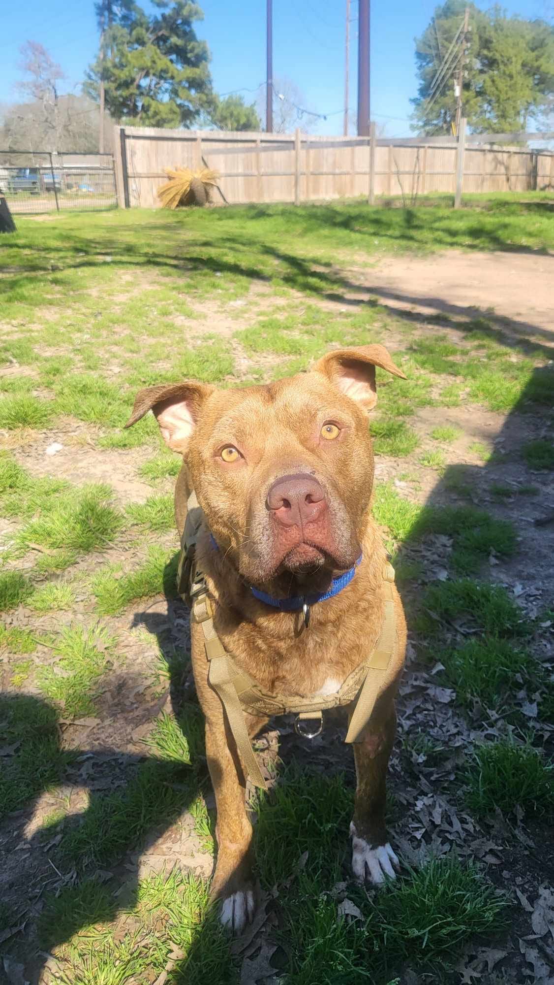 Extra image from article