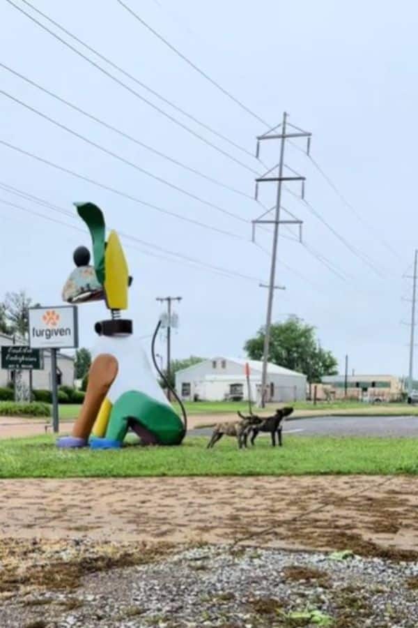 Extra image from article