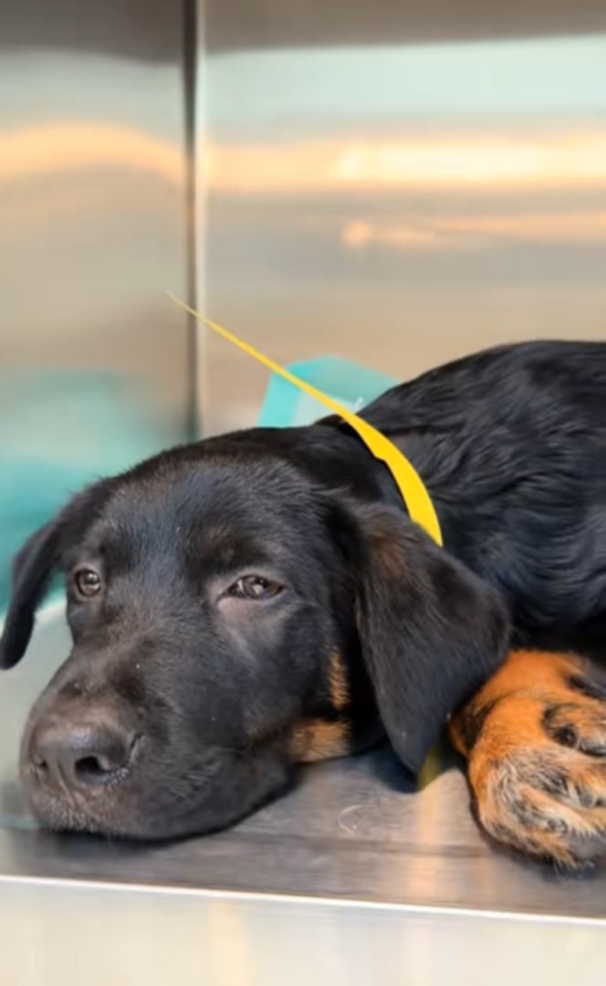 However, everything changed when Morgan ...