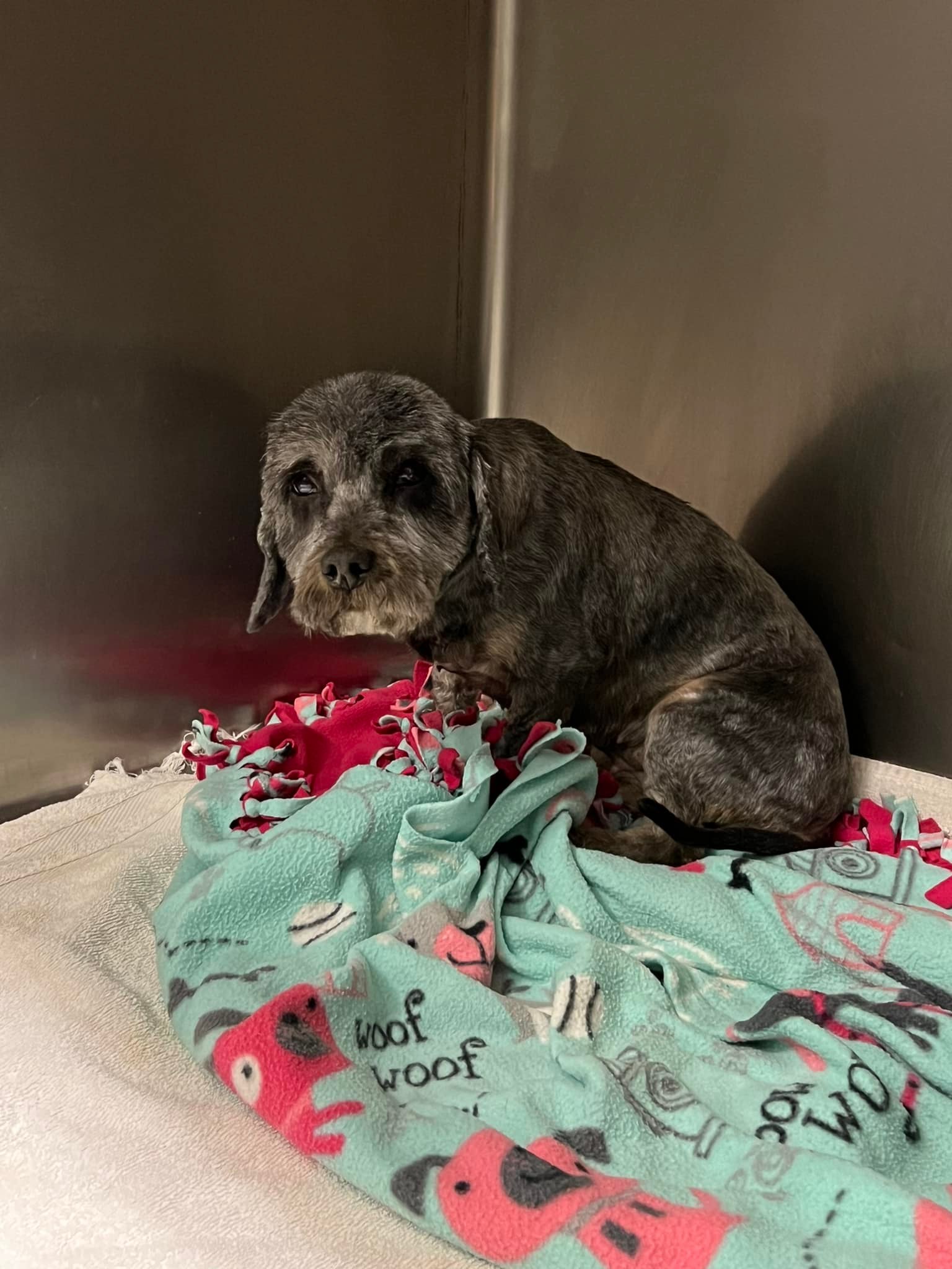 Extra image from article