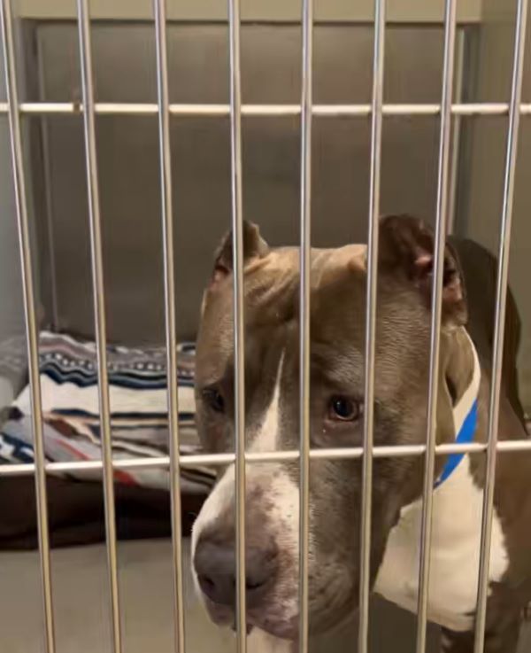 To ensure a positive experience, shelter...