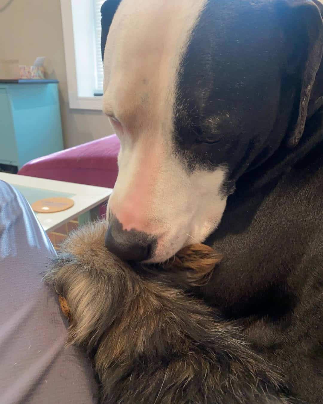 Extra image from article