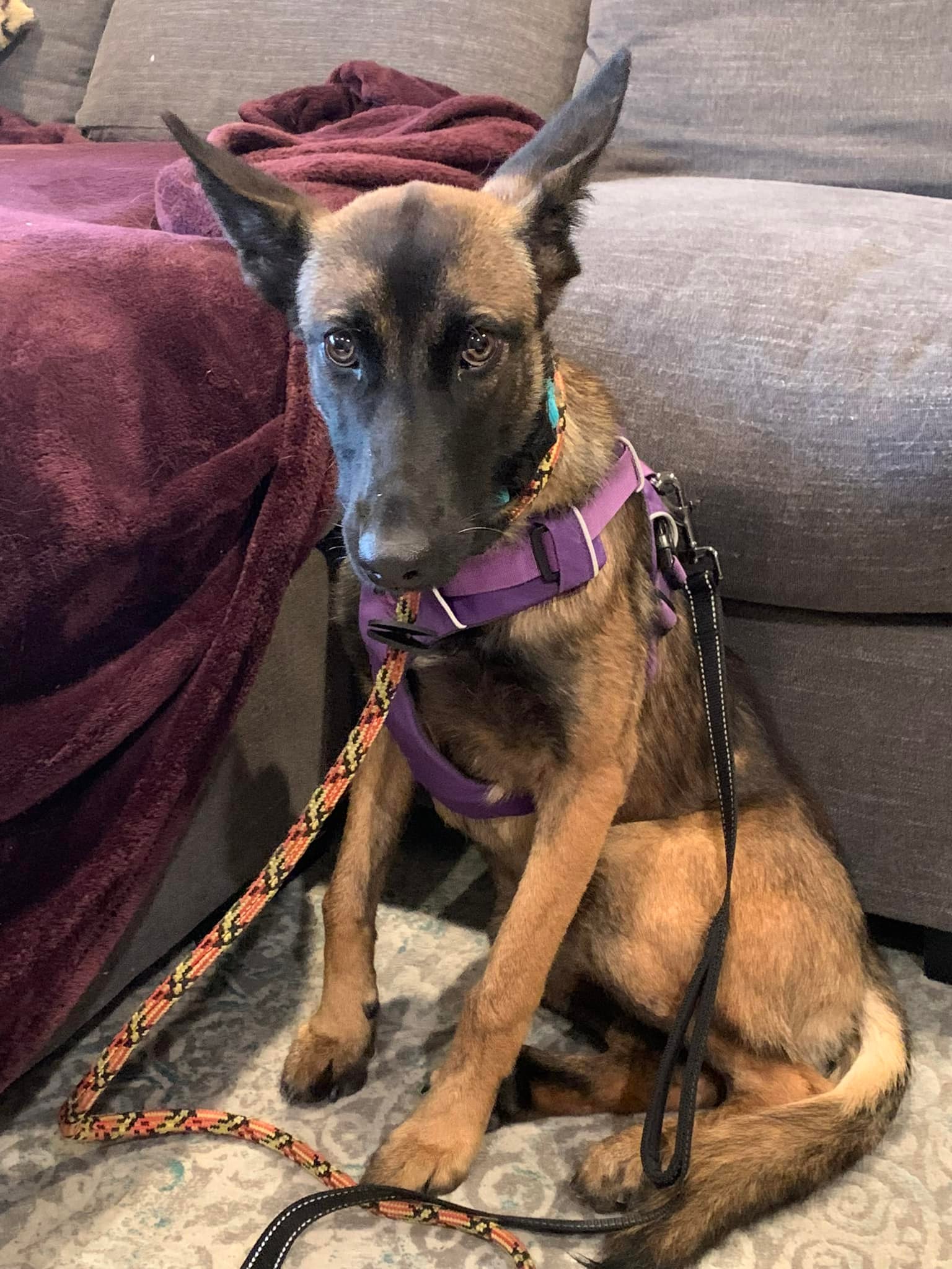 Extra image from article