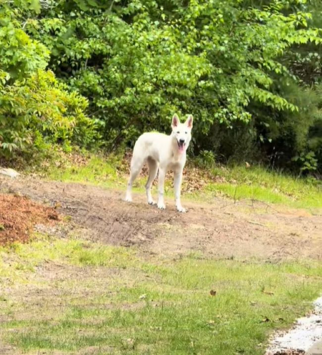 Once inside, CJ’s demeanor transformed r...