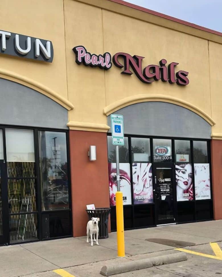 Extra image from article