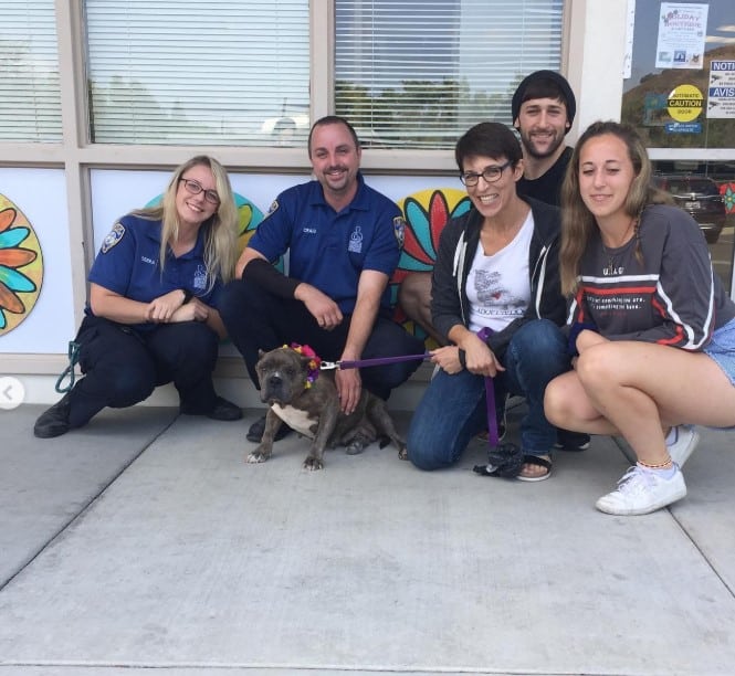 Extra image from article