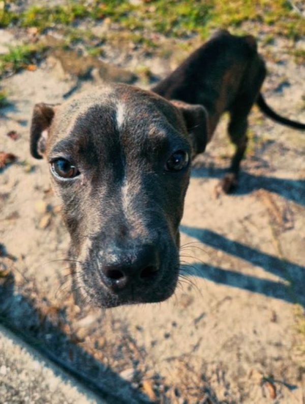 Extra image from article