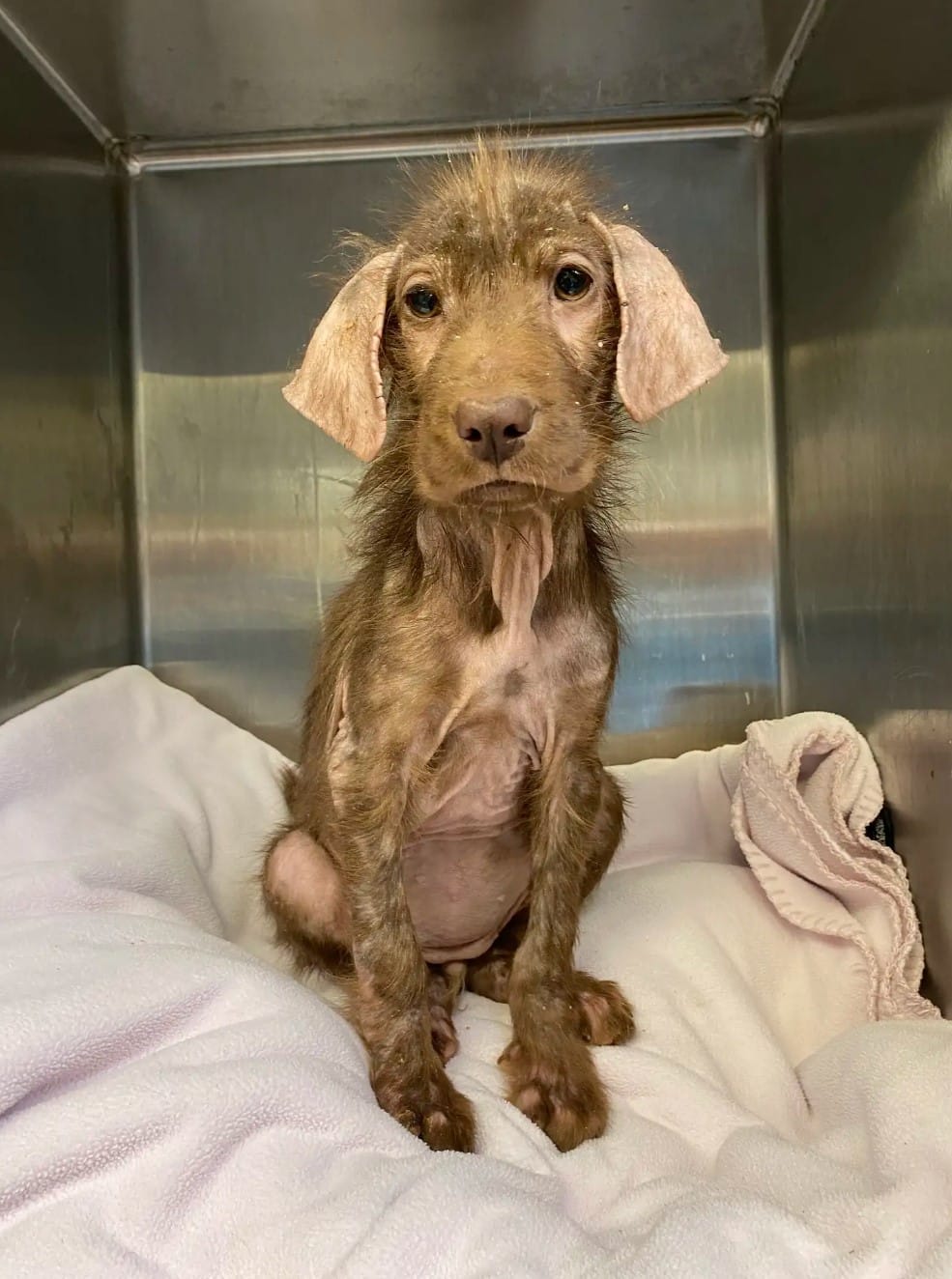 Olivia embraced Winnie, regardless of wh...