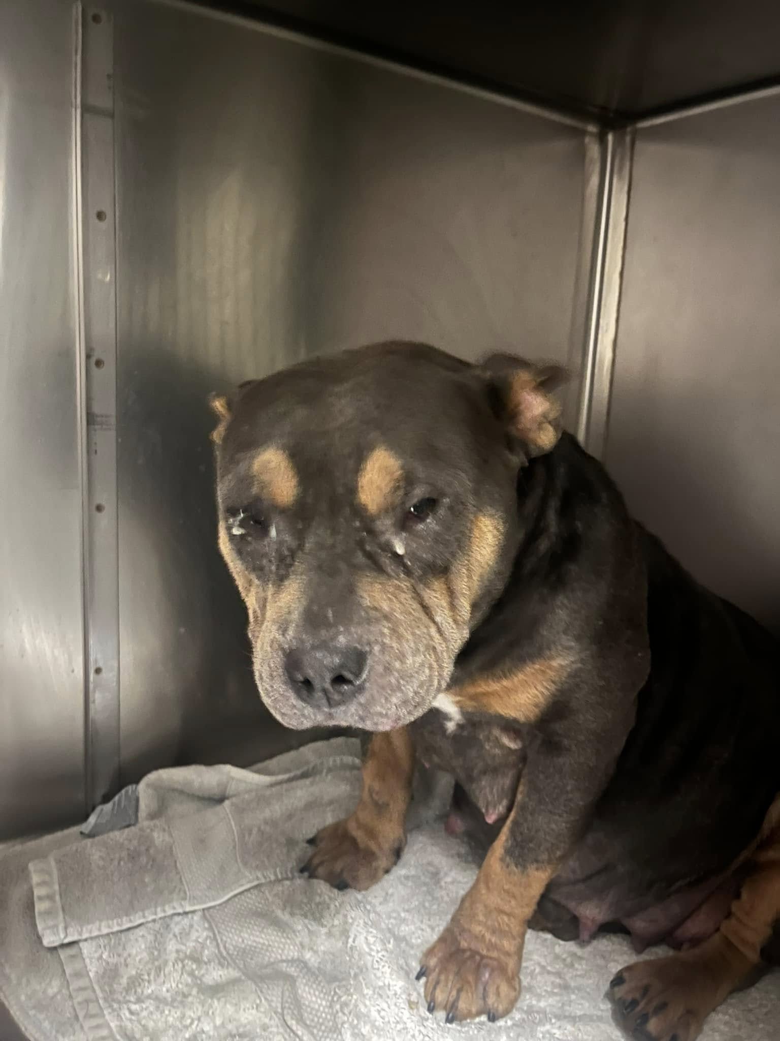 Extra image from article