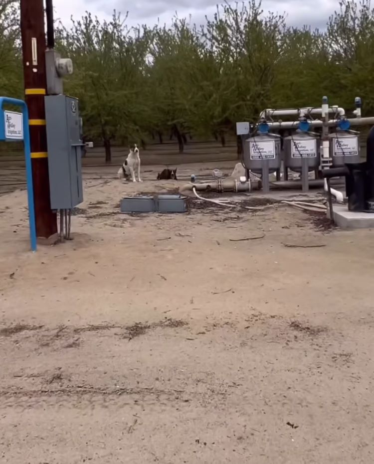 As the days went by, their true natures ...