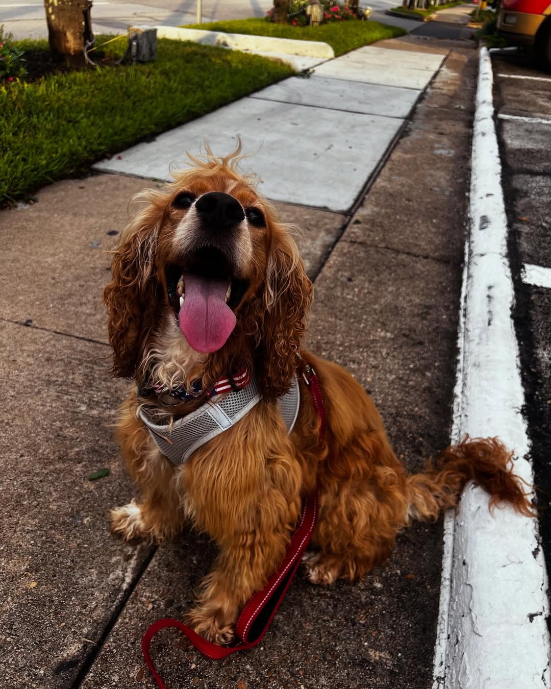 Extra image from article