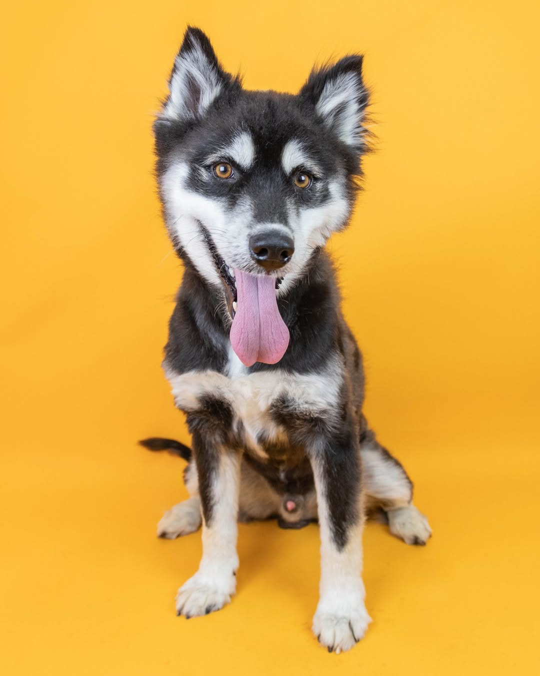 A few weeks into his treatment, the team...