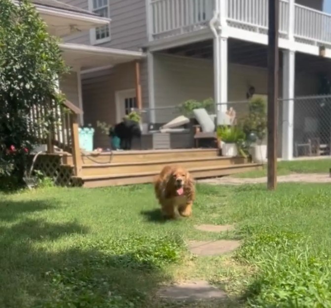 Extra image from article