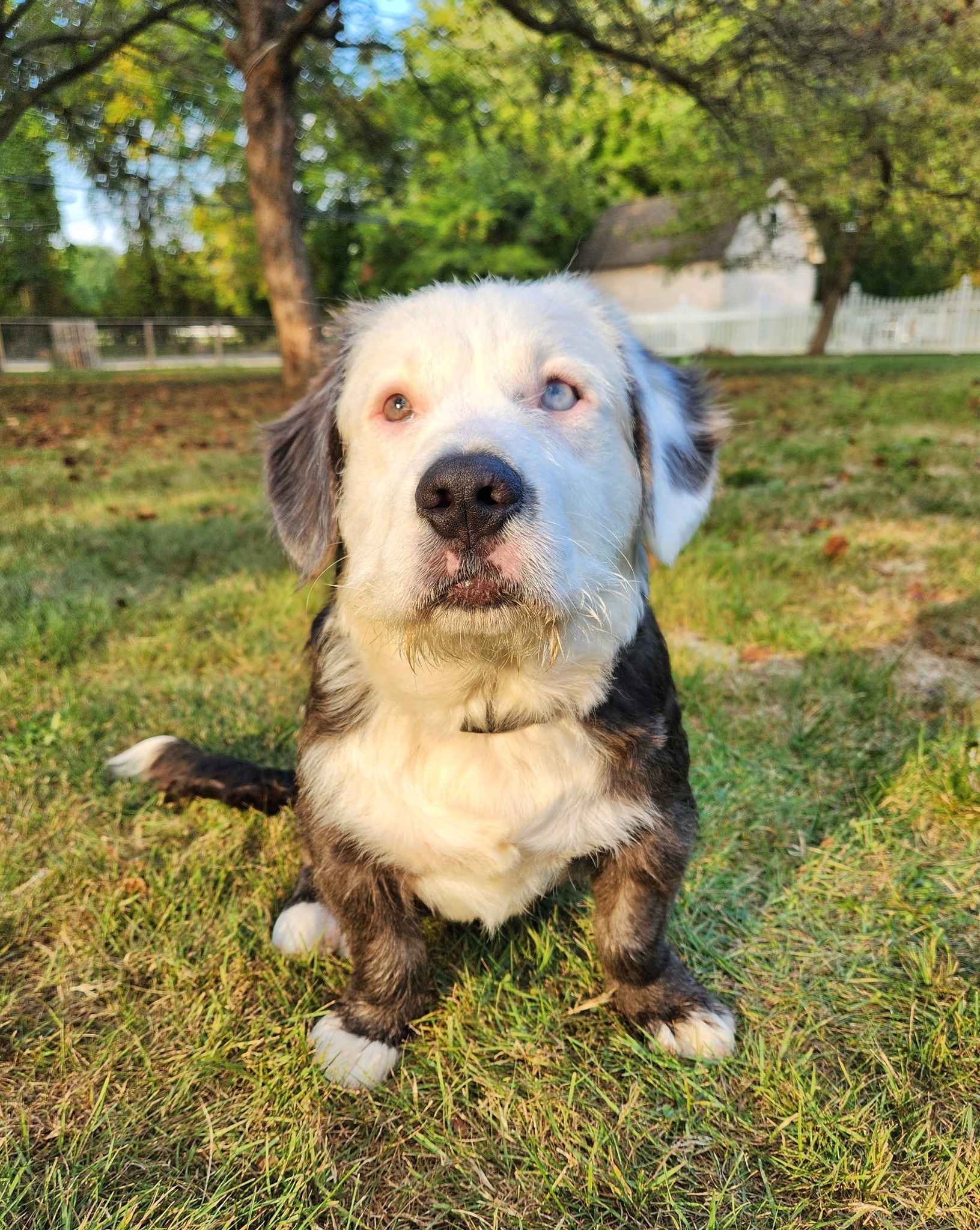 Extra image from article