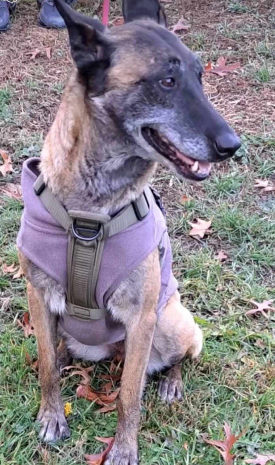 Extra image from article