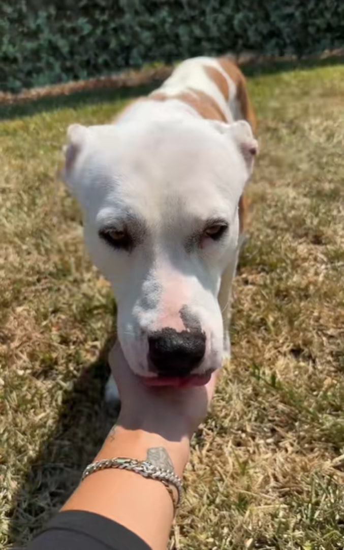 Leone also made efforts to bond by lying...