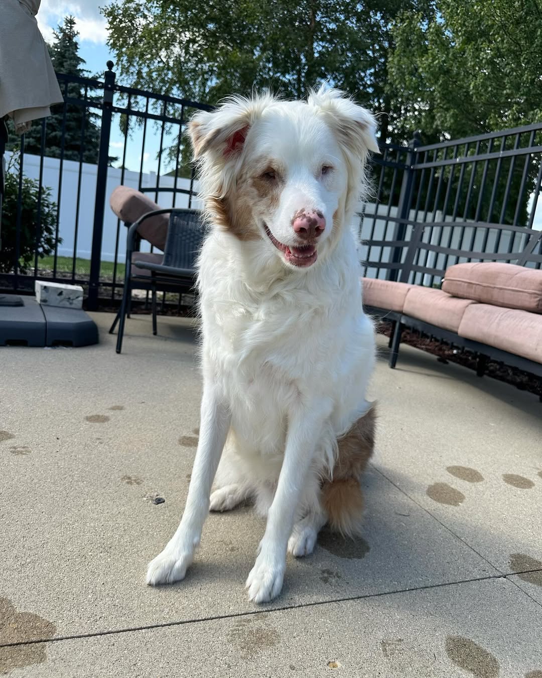 Jimmy seemed to understand Tamale's uniq...