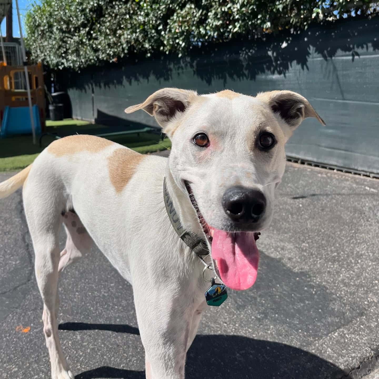 Extra image from article