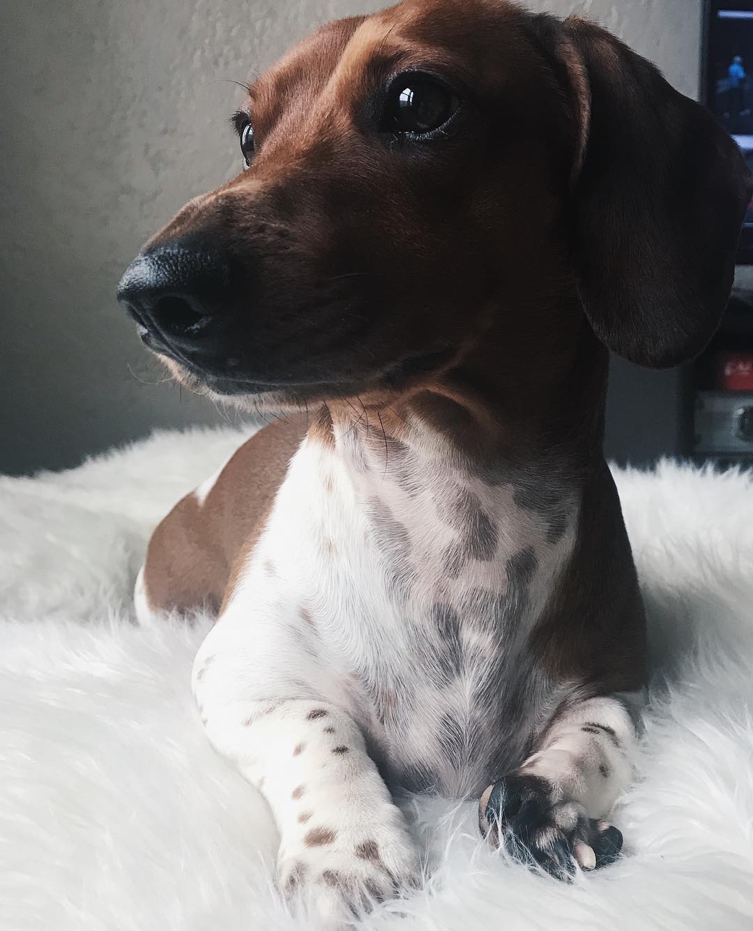 Extra image from article