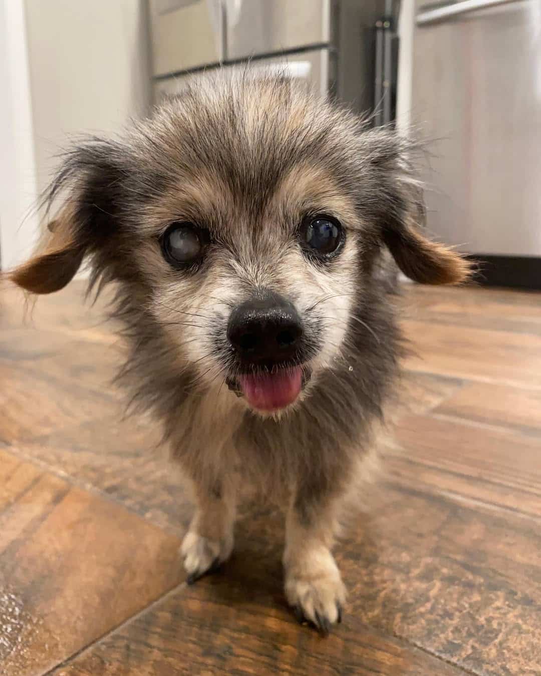 Extra image from article